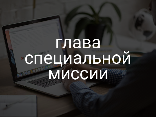 глава специальной миссии