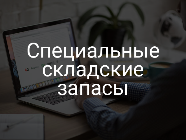 Специальные складские запасы