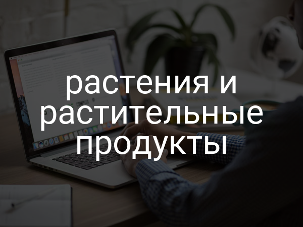 растения и растительные продукты