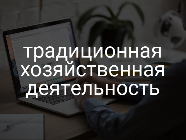 традиционная хозяйственная деятельность
