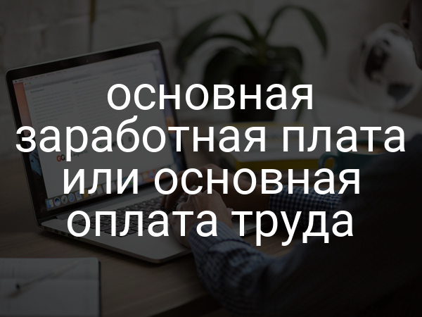 основная заработная плата или основная оплата труда