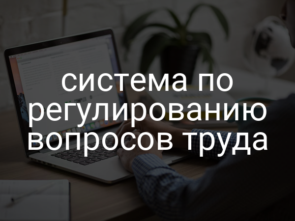 система по регулированию вопросов труда