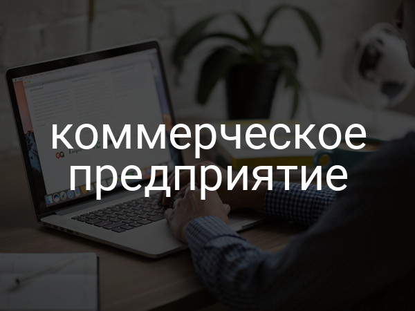 коммерческое предприятие