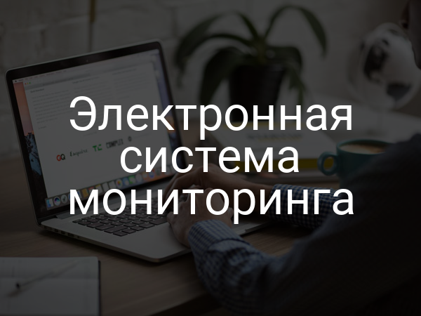 Электронная система мониторинга