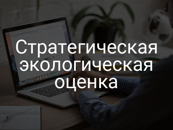 Стратегическая экологическая оценка