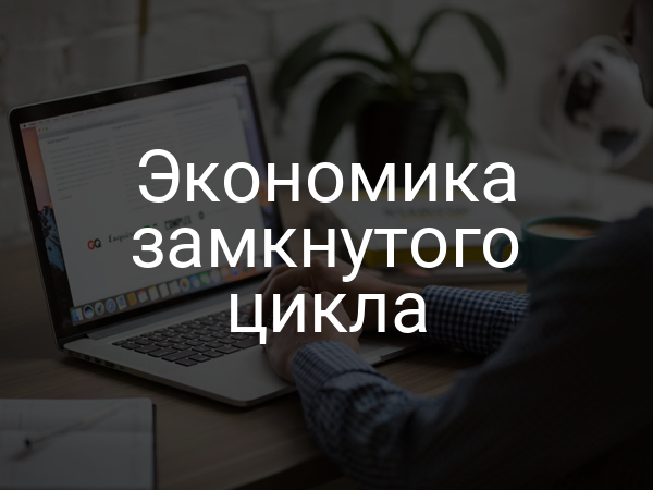 Экономика замкнутого цикла
