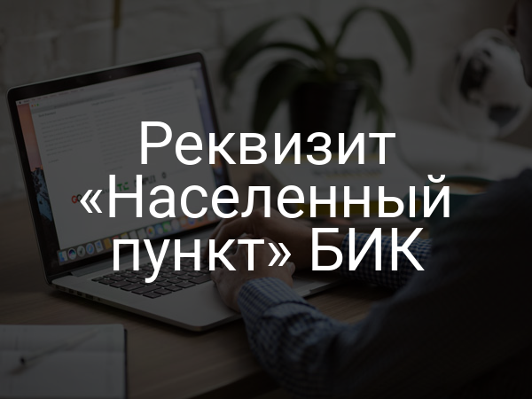 Реквизит «Населенный пункт» БИК