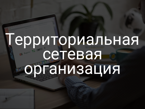 Территориальная сетевая организация