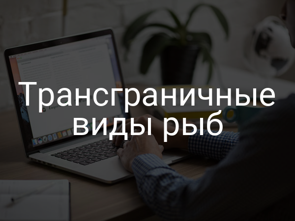Трансграничные виды рыб