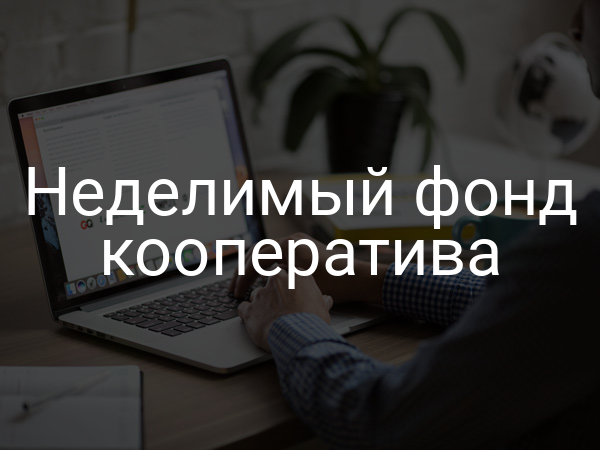 Неделимый фонд кооператива