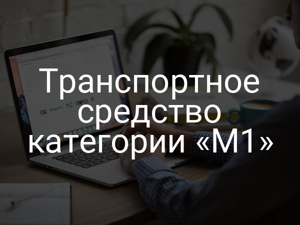 Транспортное средство категории «M1»