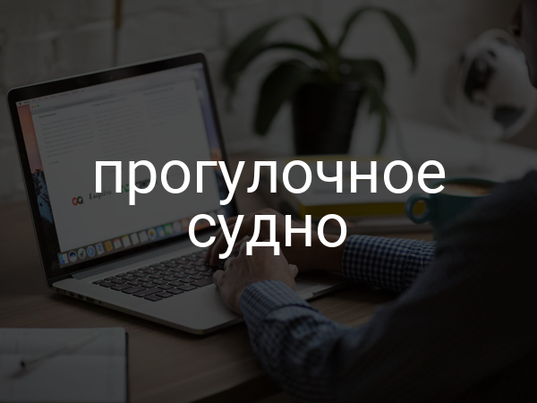 Прогулочное судно