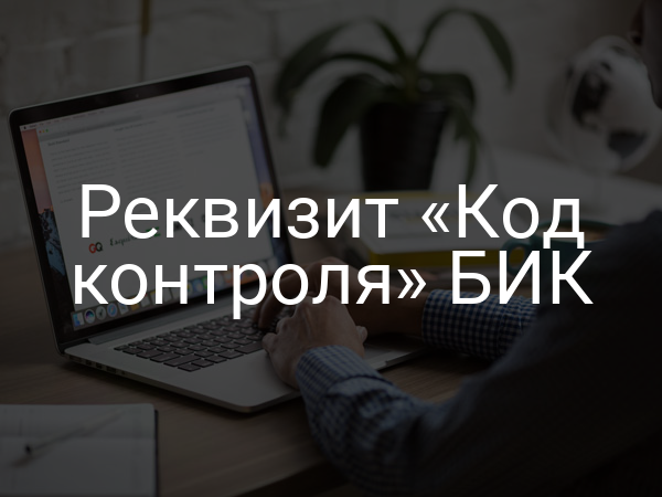 Реквизит «Код контроля» БИК