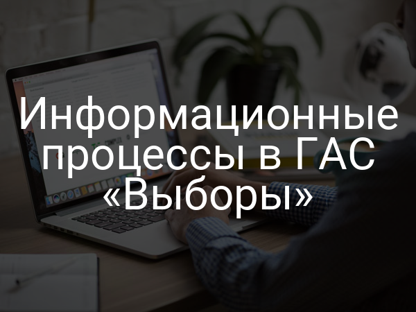 Информационные процессы в ГАС «Выборы»