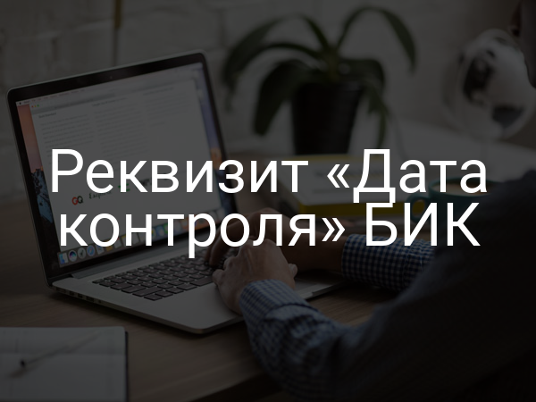 Реквизит «Дата контроля» БИК