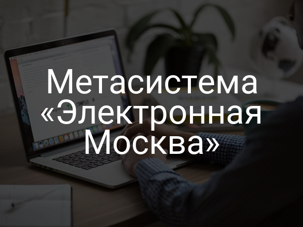 Метасистема «Электронная Москва»