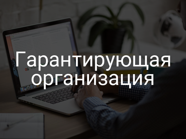 Гарантирующая организация