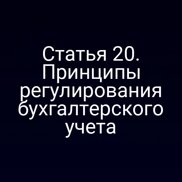 Постановка принципов регулирования бухгалтерского учёта в статье 20 Закона о бухучете