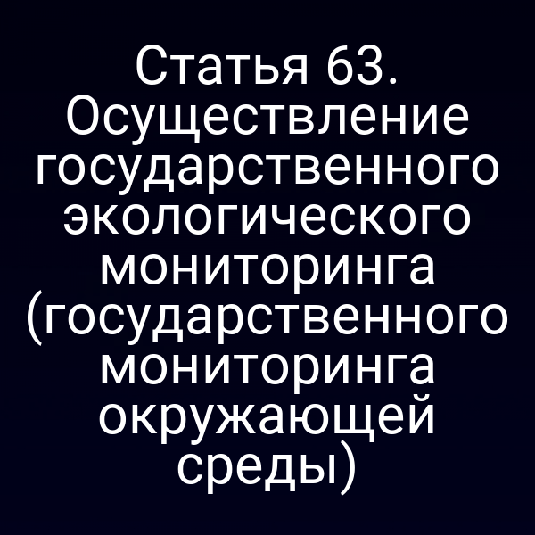 Статья 63. Осуществление государственного экологического мониторинга (государственного мониторинга окружающей среды)
