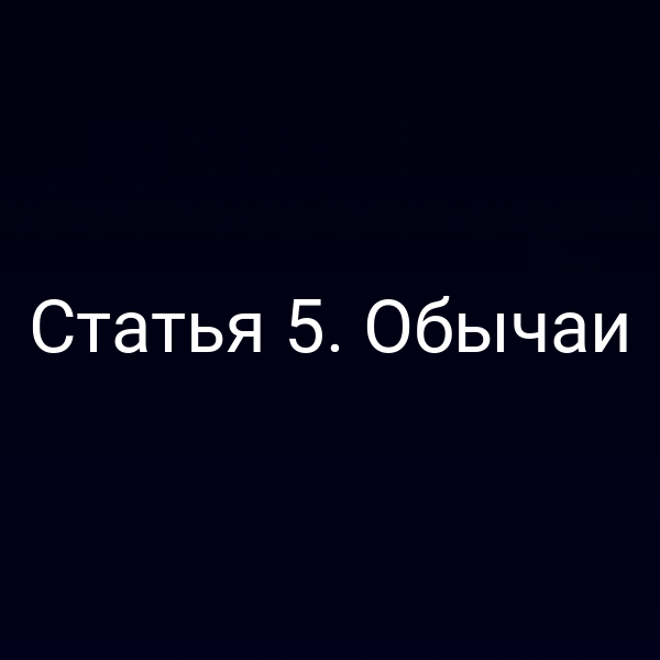 Статья 5. Обычаи