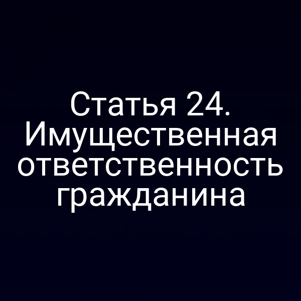 Статья 24. Имущественная ответственность гражданина