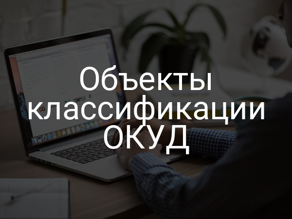 Объекты классификации ОКУД