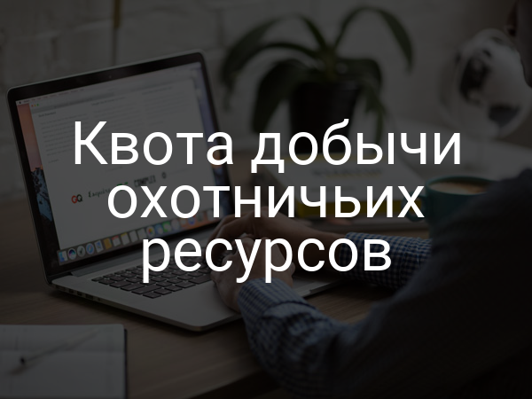 Квота добычи охотничьих ресурсов