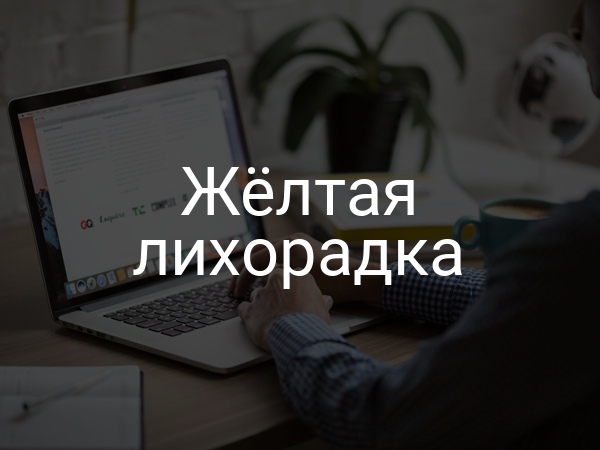 Желтая лихорадка