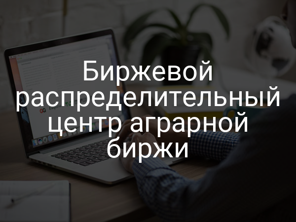 Биржевой распределительный центр аграрной биржи