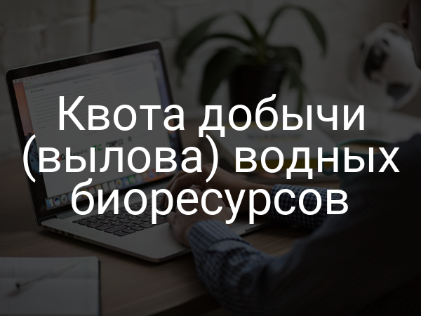 Квота добычи (вылова) водных биоресурсов