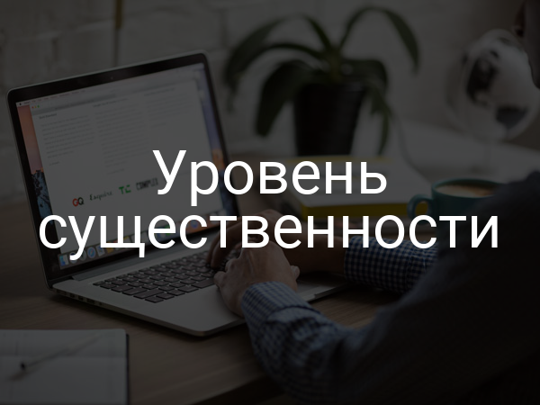 Уровень существенности