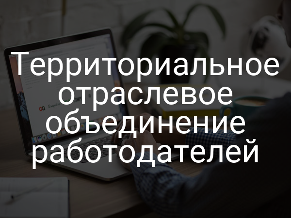 Территориальное отраслевое объединение работодателей