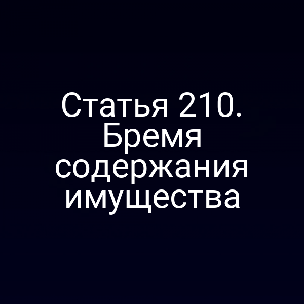 Статья 210. Бремя содержания имущества