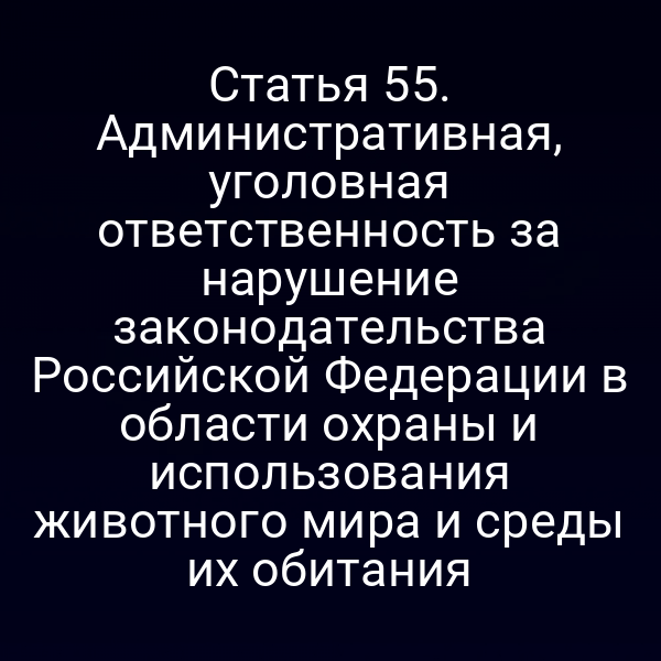 Полиция проверяет соблюдение правил охраны животного мира