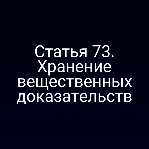 Статья 73. Хранение вещественных доказательств