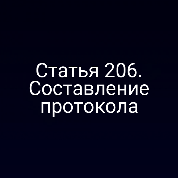 Статья 206. Составление протокола