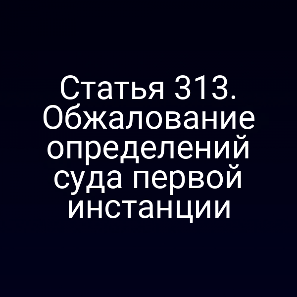Статья 313. Обжалование определений суда первой инстанции