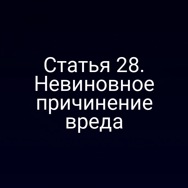 Статья 28. Невиновное причинение вреда