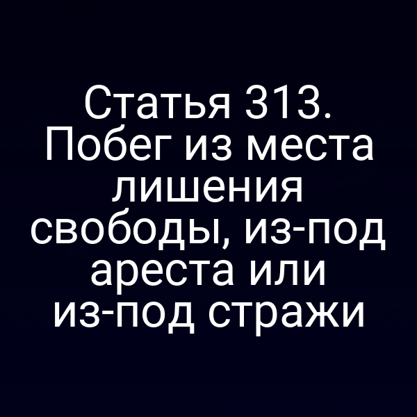 Статья 313. Побег из места лишения свободы, из-под ареста или из-под стражи