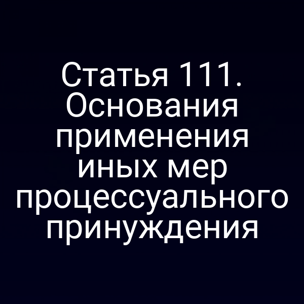Статья 111. Основания применения иных мер процессуального принуждения
