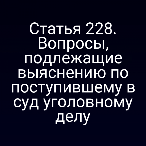 Статья 228. Вопросы, подлежащие выяснению по поступившему в суд уголовному делу