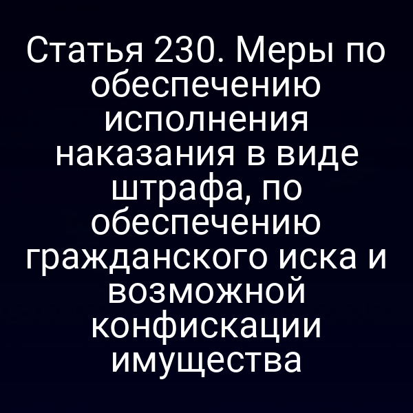 Статья 230. Меры по обеспечению исполнения наказания в виде штрафа, по обеспечению гражданского иска и возможной конфискации имущества