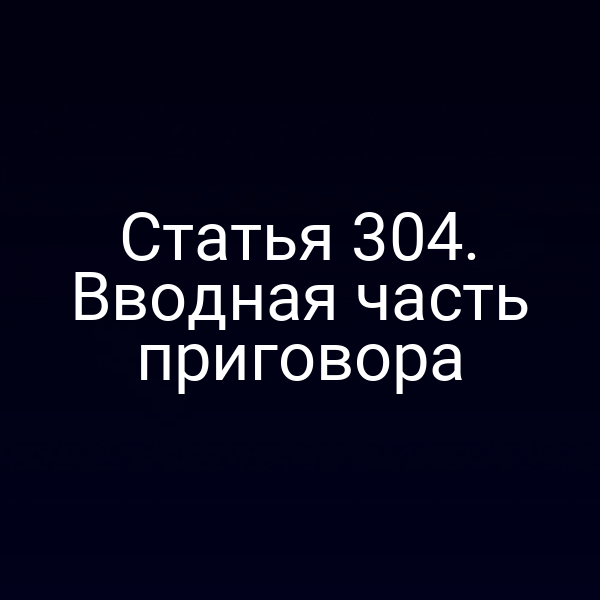 Статья 304. Вводная часть приговора