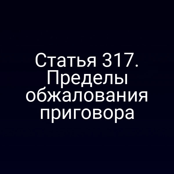 Статья 317. Пределы обжалования приговора