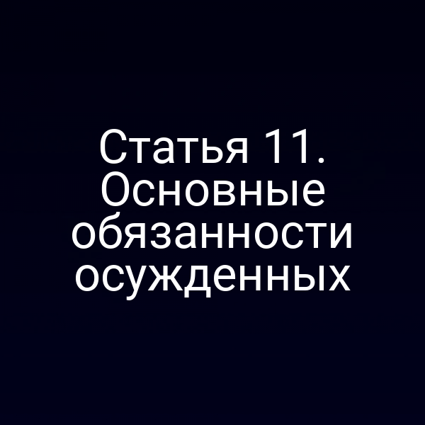 Статья 11. Основные обязанности осужденных