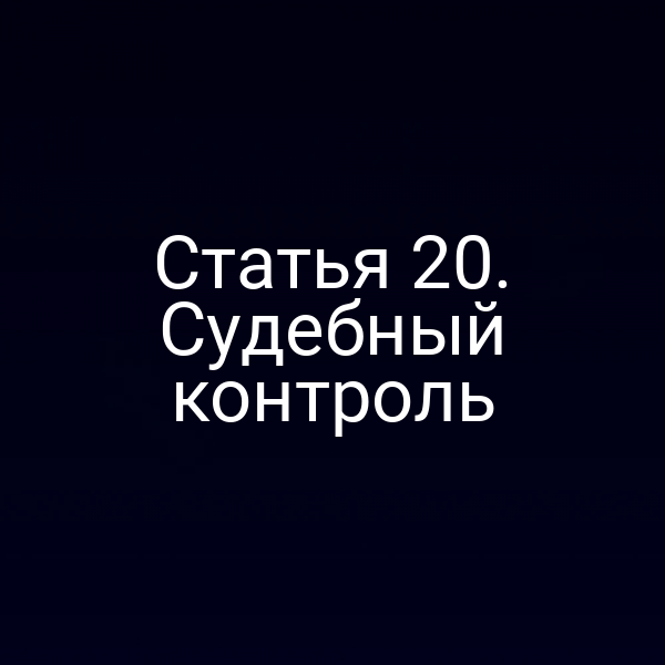 Статья 20. Судебный контроль