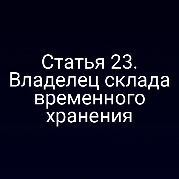 Статья 23. Владелец склада временного хранения