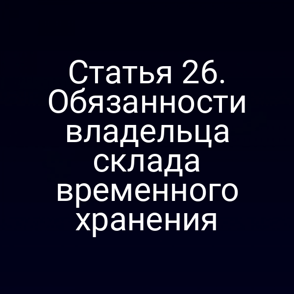 Статья 26. Обязанности владельца склада временного хранения