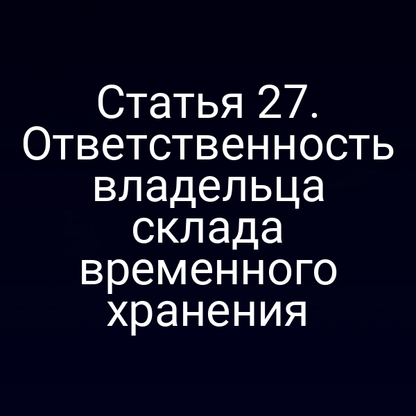 Статья 27. Ответственность владельца склада временного хранения