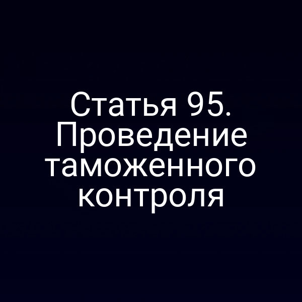 Статья 95. Проведение таможенного контроля